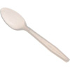 Emerald, Plastic Teaspoon, Compostable, 500/Carton